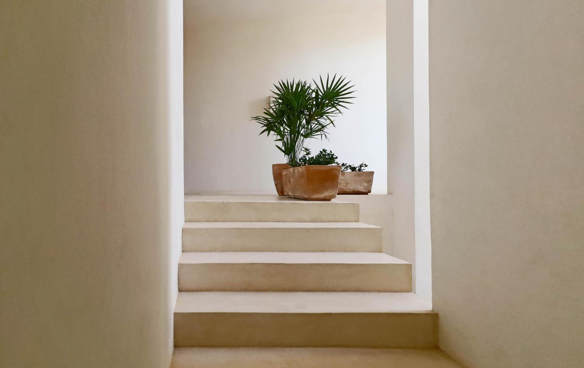 Suites Panamera Tulum Exteriör bild