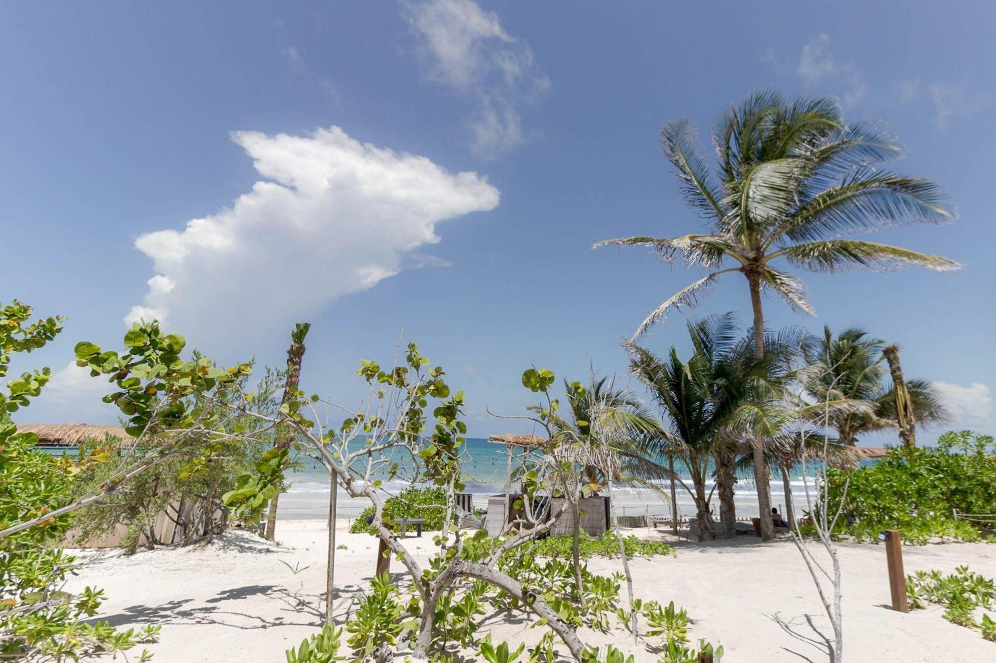 Suites Panamera Tulum Exteriör bild